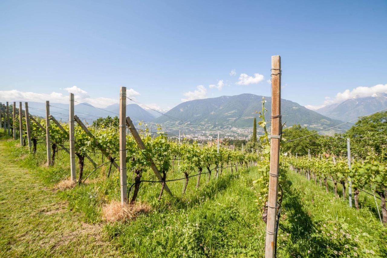 Ferienwohnung Pinot Merano Ngoại thất bức ảnh
